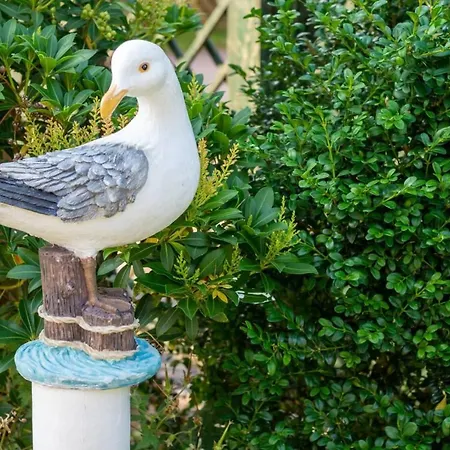 Albatros Dornumersiel