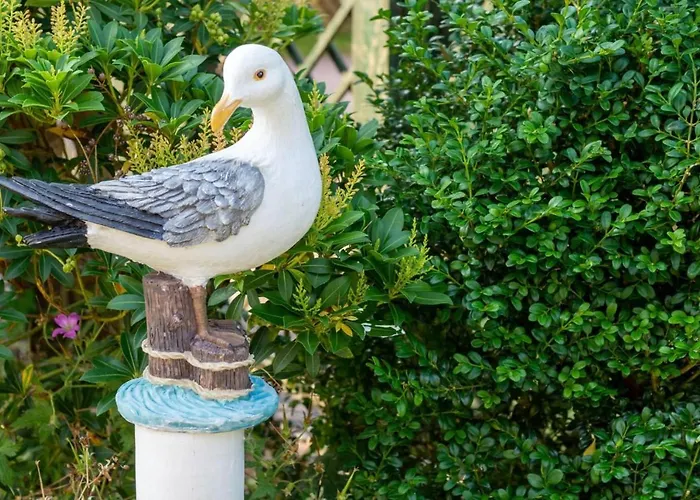 Albatros Dornumersiel